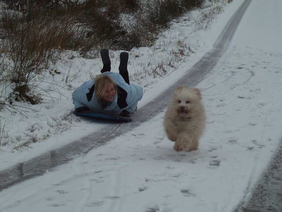 Scottish winter holiday sledging