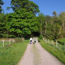 holiday guests enjoying the scottish countryside around Kilfinan